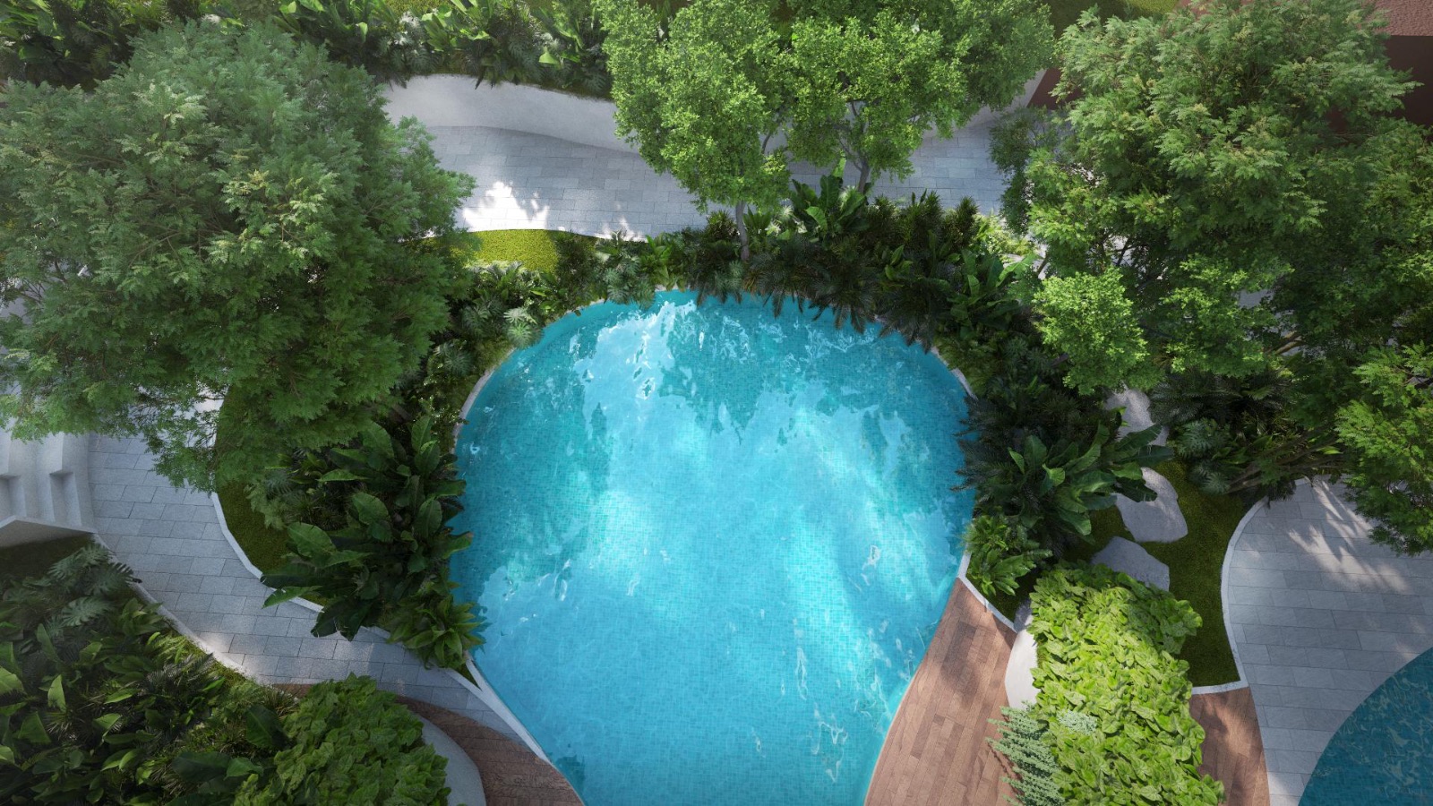 Cove Pool